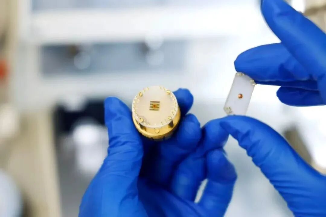 640 (1).jpg 640 (1).jpg